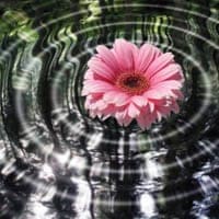 The de facto law revolution