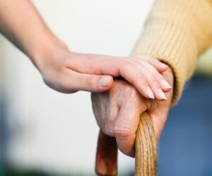 Aged care advice in its infancy