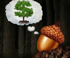 Forestry schemes failed because of bank self interest