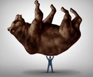 APRA contemplates applying BEAR elsewhere