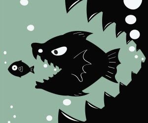 Close of WHSP takeover bid for Hunter Hall