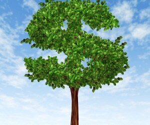 DomaCom hits capital raising target early