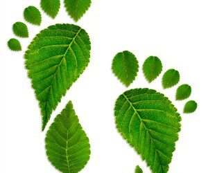 Russell Investments tackles decarbonising strategies