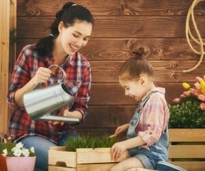 Australian private equity strong in 2016