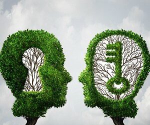 YTML joins with BusinessBlades for new venture