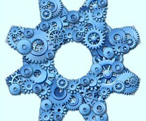 Link launches digital advice