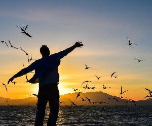 ASIC drops charges against two former LM heads