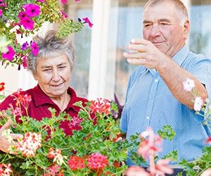 Saving the home and pension