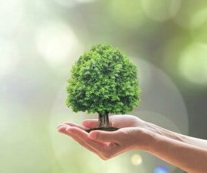 New realm for ESG investing