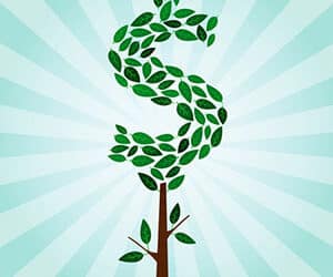 AEI launches new fund and revamps existing line up