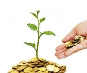 Ethical investment policy paying off: Survey