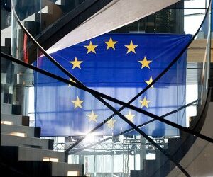 AMP looks to the future in wake of EU