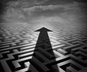 Trapnell plans two-year exit strategy