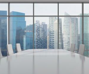 Another reinsurer enters life/risk space