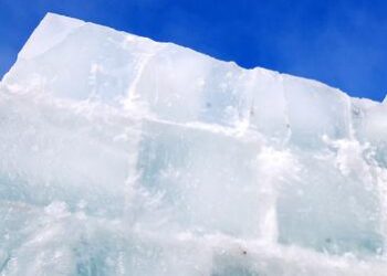 ASIC extends hardship relief for frozen funds