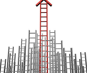 Rebranded WHK group finds bright spot in advice services