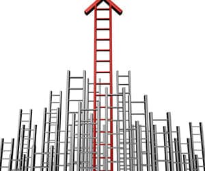 Rebranded WHK group finds bright spot in advice services