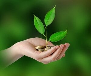 Australian Ethical Investment's shares soar