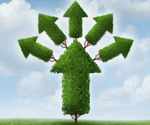 HUB24 posts significant FUA growth in 2016