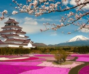 Japanese investors show appetite for real estate