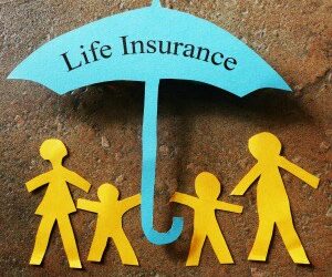 FSC urges life APL choice