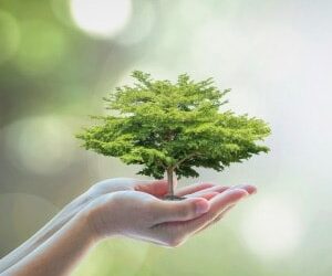 O’Dwyer points to limitations of account-based pensions