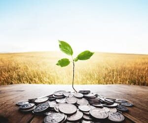 The inflationary impact of the carbon transition