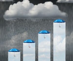 Mirrabooka profit down