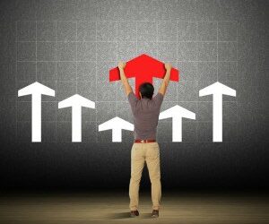 Spring FG records modest NPAT rise