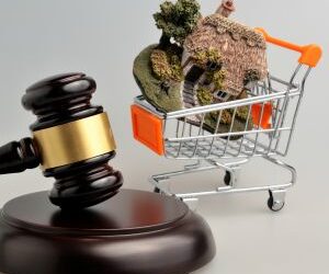 ASIC takes action over unlicensed land banking scheme