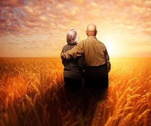 ‘Vanilla’ solutions fall short in funding retirement