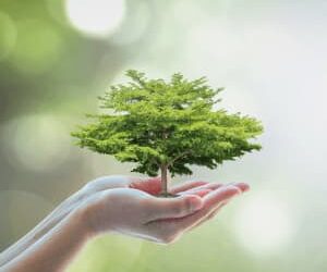 Retirement product to address longevity and sequencing risk