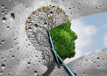 FWC president blames Govt on default review