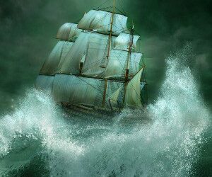 Hold firm through volatility: Fiducian