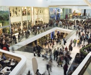 Rise of speciality stores a boon for investors