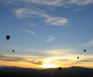 Suicide and TPD claims at $350m