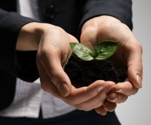 Small caps better protected from concentration risk