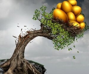 Advisers can help address SG non-payment