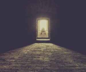 Temper your optimism says AB