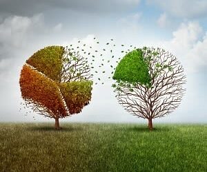 Value-based investing back on the cards